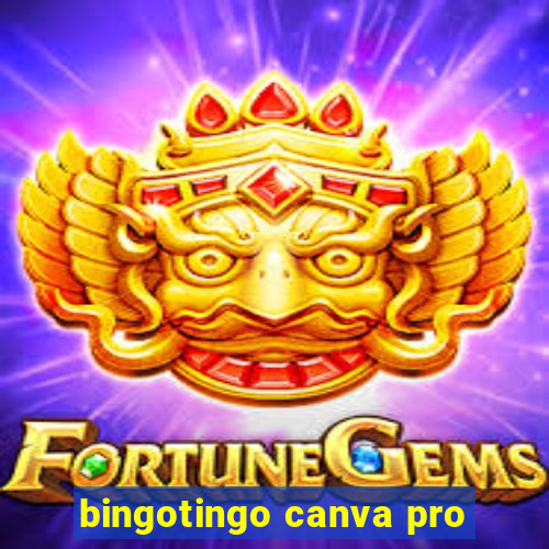 bingotingo canva pro